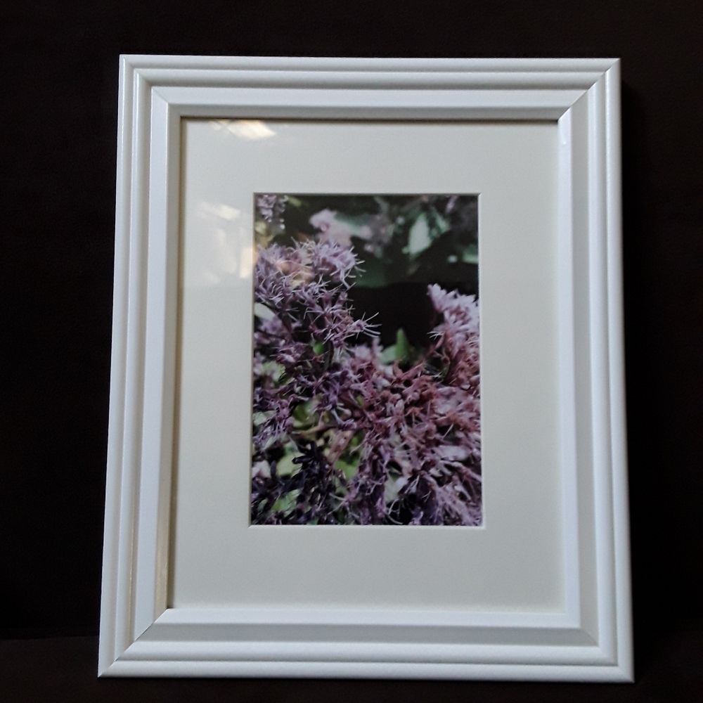 One of a Kind Wall Art